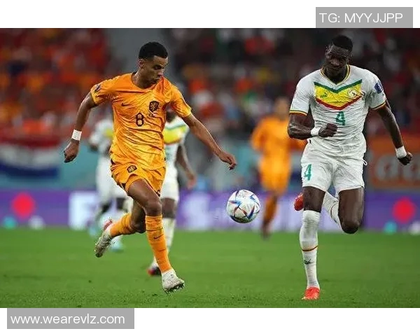 北京网球队在世界杯积分榜上以88分稳居第一名展现强劲实力